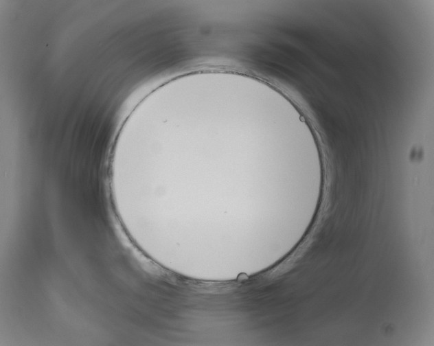 X0000114021440200911131217