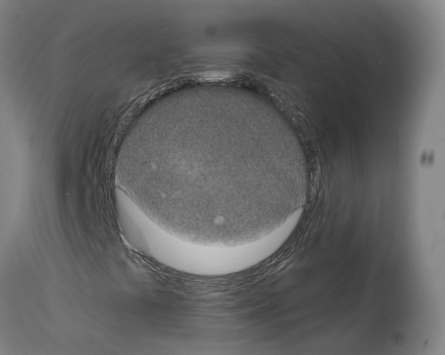 X0000114021441200911131216