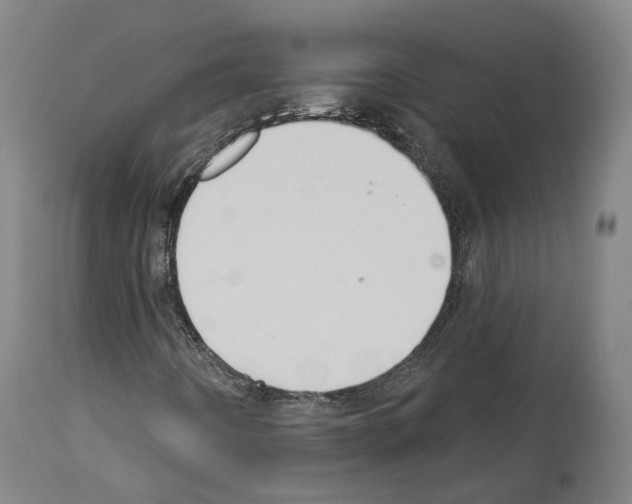 X0000114021442200911131216