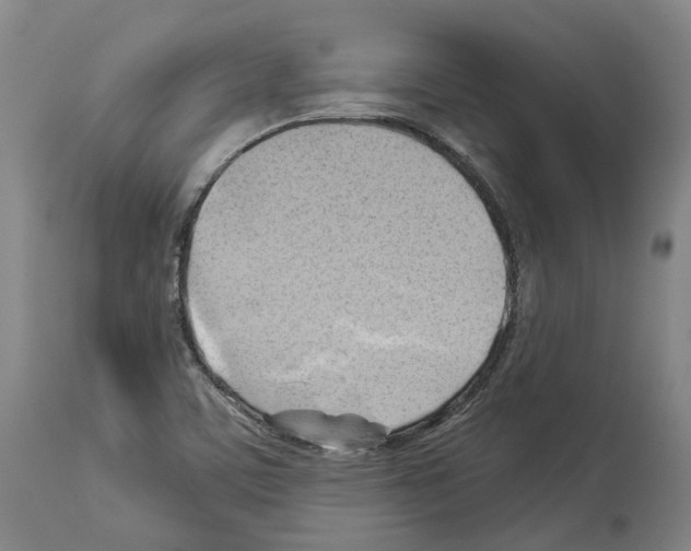 X0000114021459200911131216