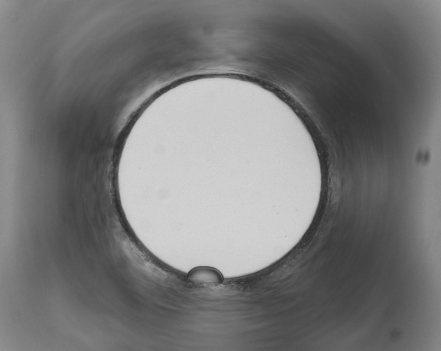 X0000114021460200911131216