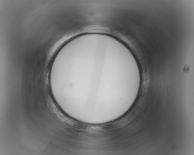 X0000114021462200911131216