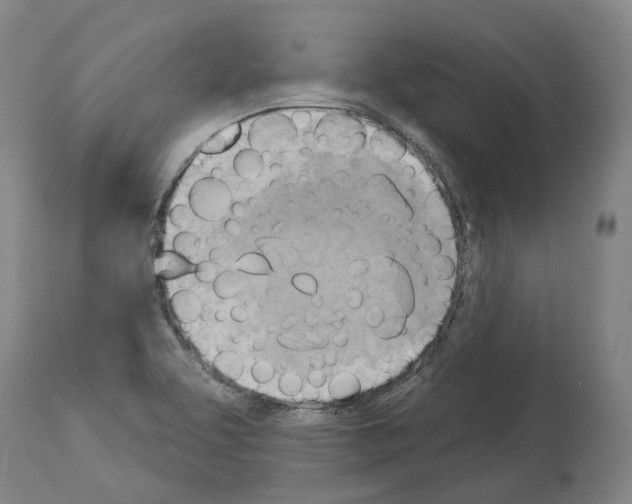 X0000114021463200911131216