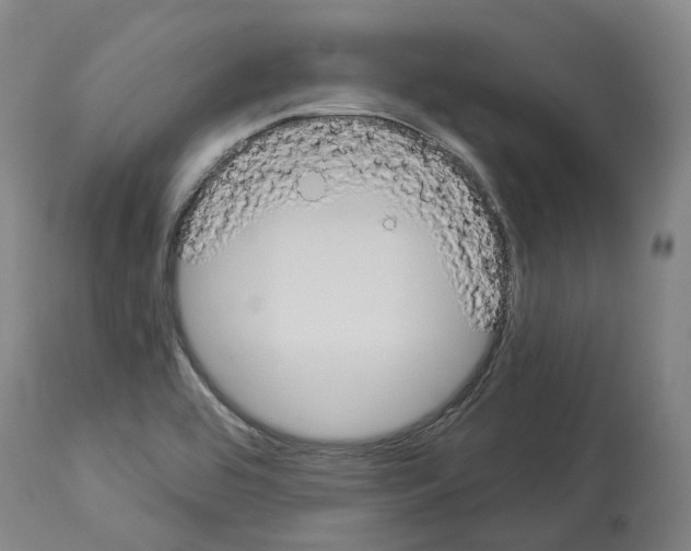 X0000114021464200911131216