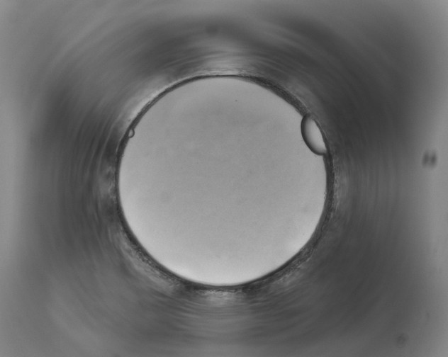 X0000114021465200911131216