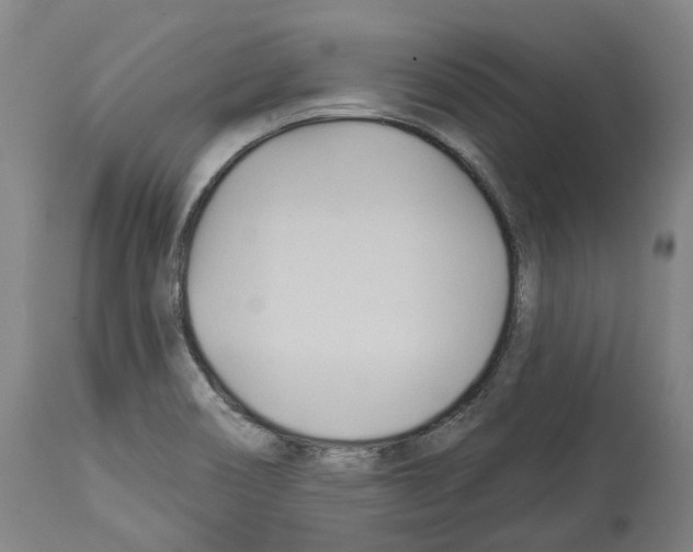 X0000114021466200911131216