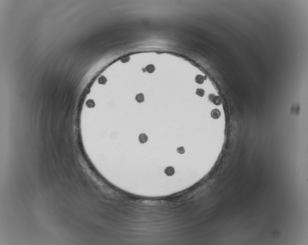 X0000114021469200911131216