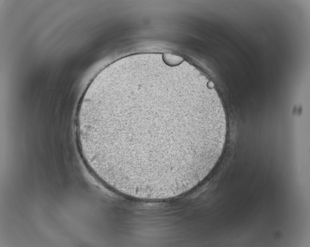 X0000114021471200911131216