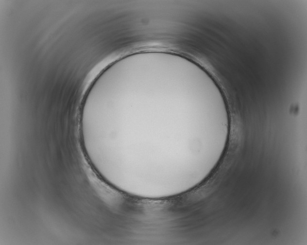 X0000114021474200911131216