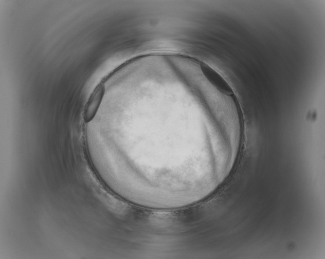 X0000114021477200911131216