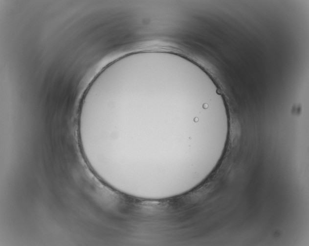 X0000114021478200911131216