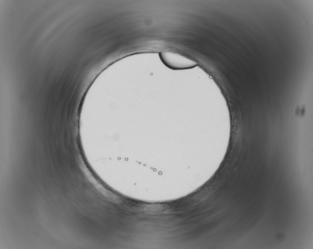 X0000114021479200911131216