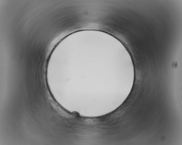 X0000114021480200911131216