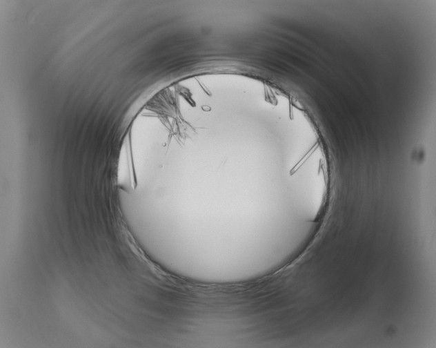 X0000114021481200911131216