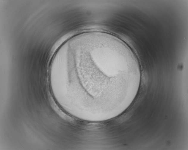 X0000114021482200911131216