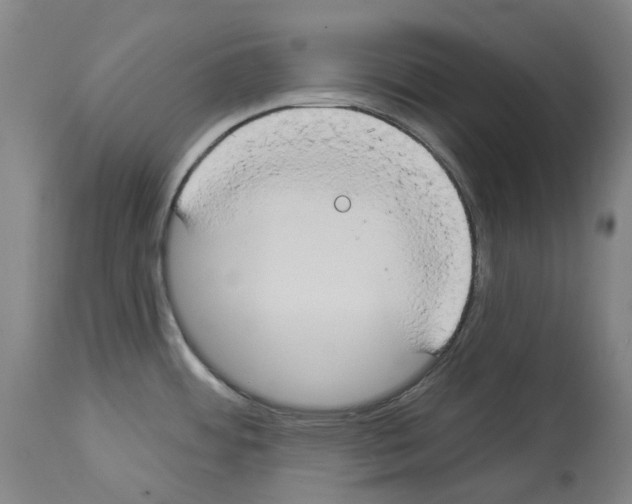 X0000114021484200911131216