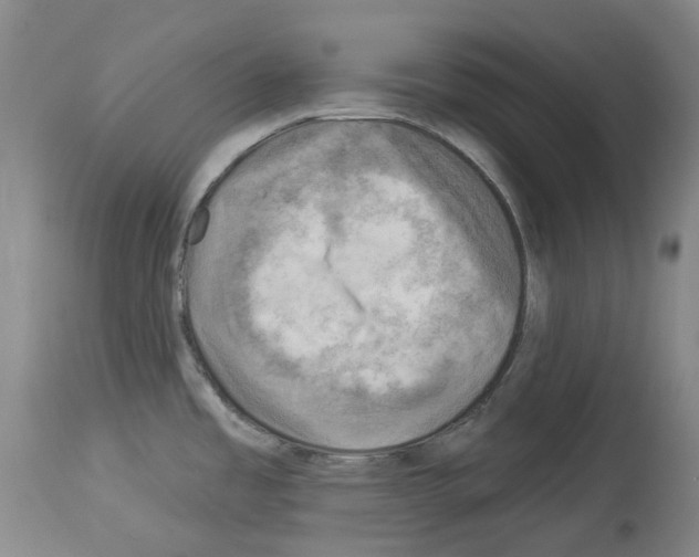 X0000114021485200911131216