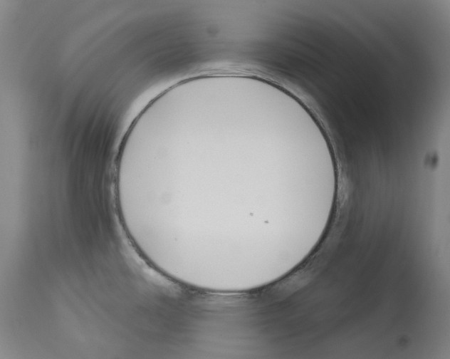 X0000114021486200911131215