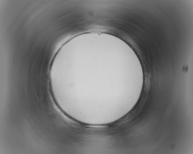 X0000114021487200911131215