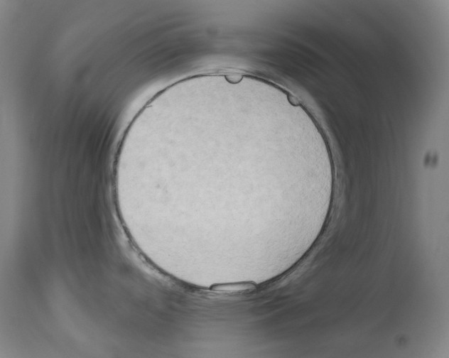 X0000114021488200911131215