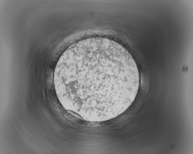 X0000114021492200911131215