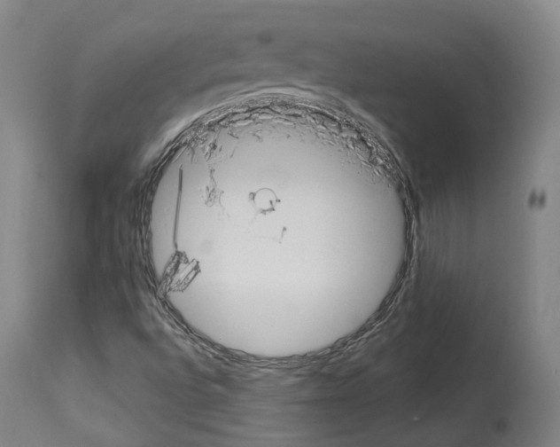 X0000114021496200911131215