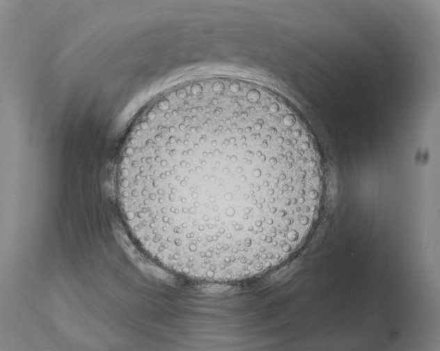 X0000114021499200911131215