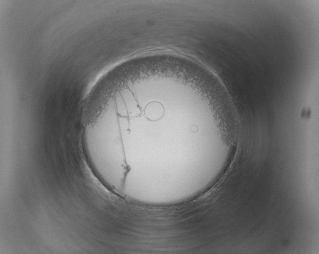 X0000114021500200911131215