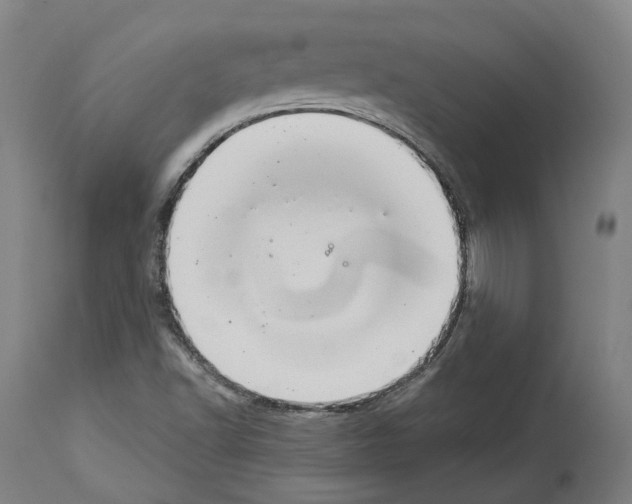 X0000114021502200911131215