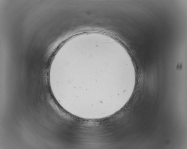 X0000114021503200911131215