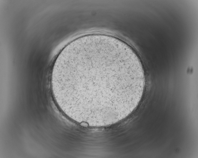 X0000114021504200911131215