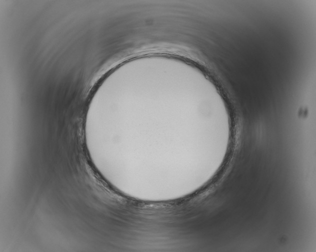 X0000114021505200911131215