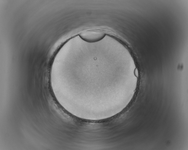 X0000114021506200911131215