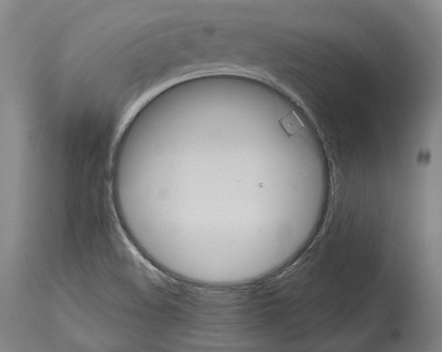 X0000114021508200911131215