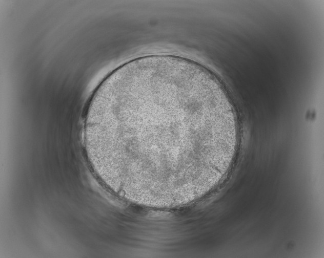 X0000114021509200911131215