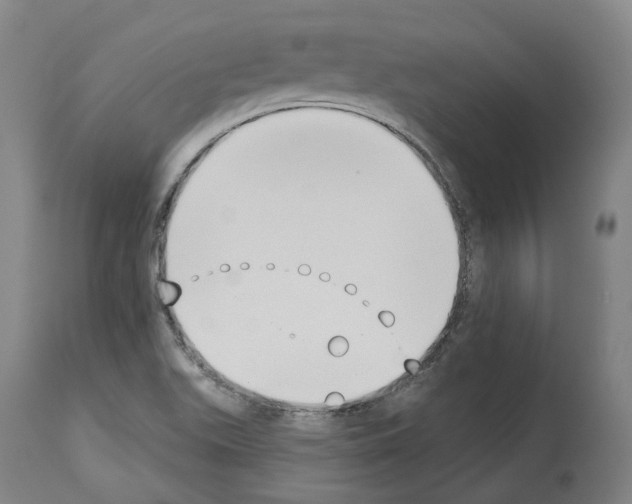 X0000114021511200911131215