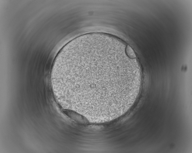 X0000114021513200911131215