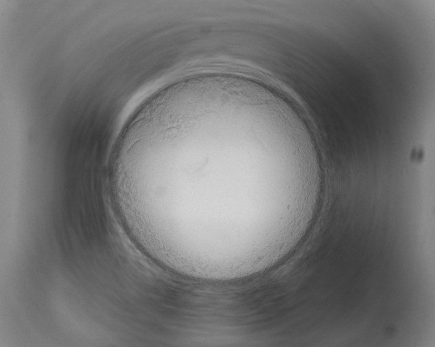 X0000114021514200911131215