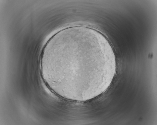 X0000114021515200911131215