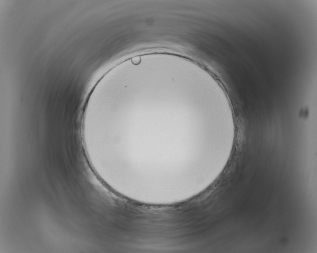 X0000114021516200911131215