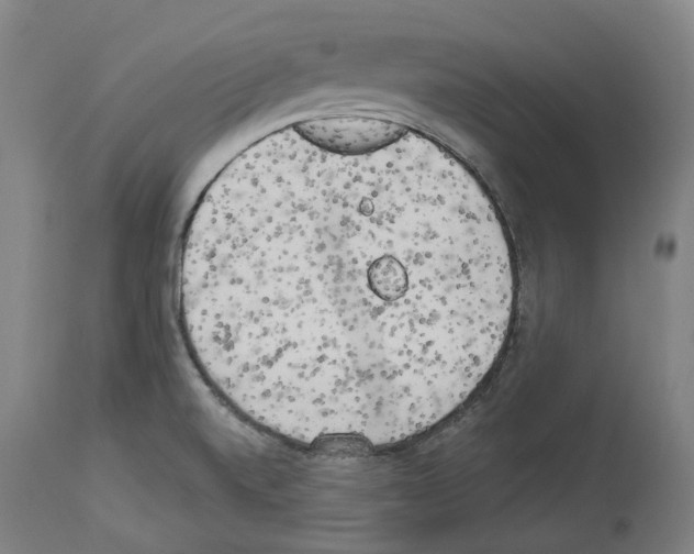 X0000114021520200911131215