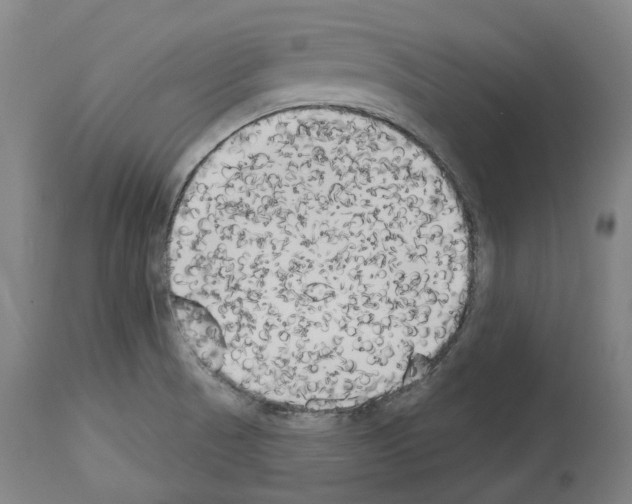 X0000114021521200911131215
