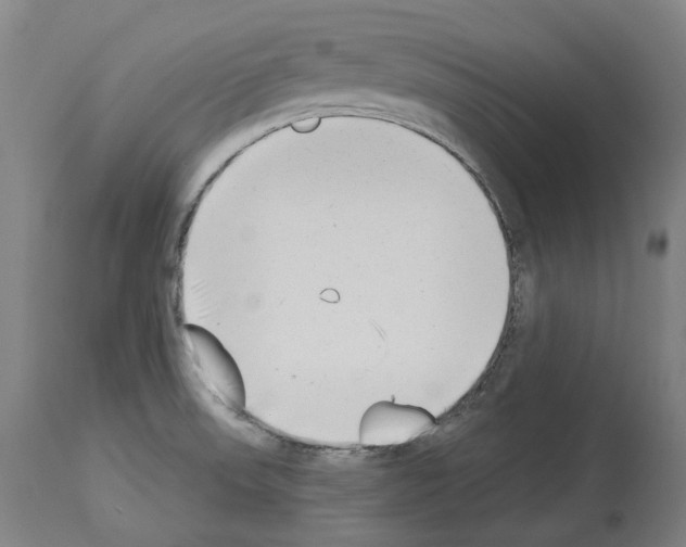 X0000114021523200911131215