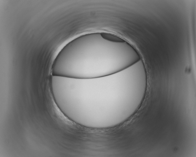 X0000114021524200911131215