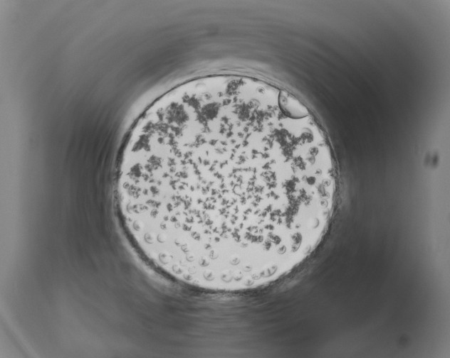 X0000114021525200911131215