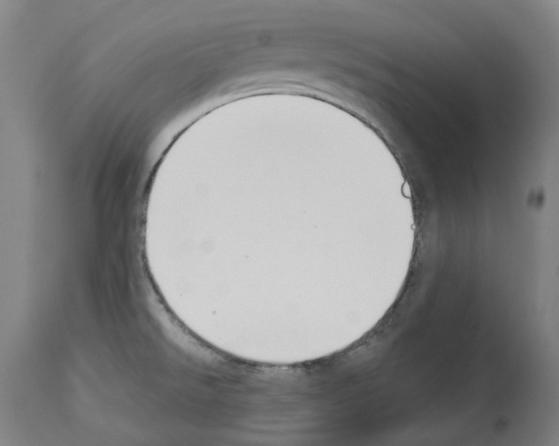 X0000114021526200911131215