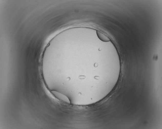 X0000114021528200911131215