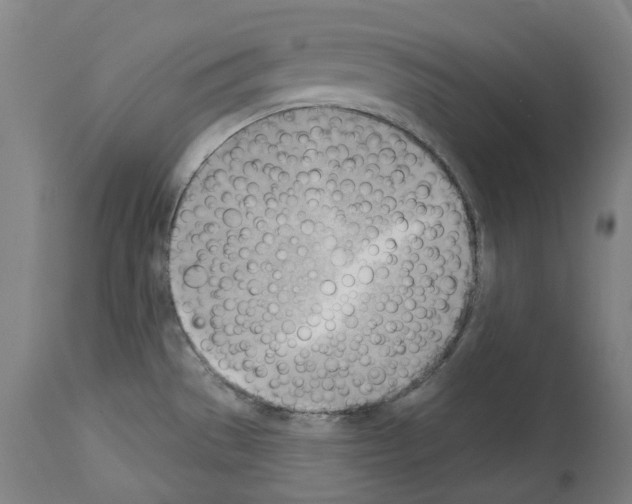 X0000114021529200911131215