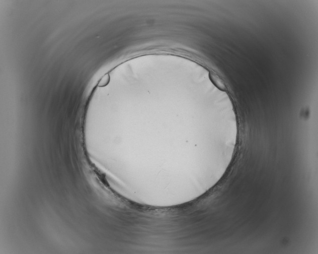 X0000114021530200911131215