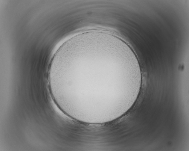 X0000114021531200911131215